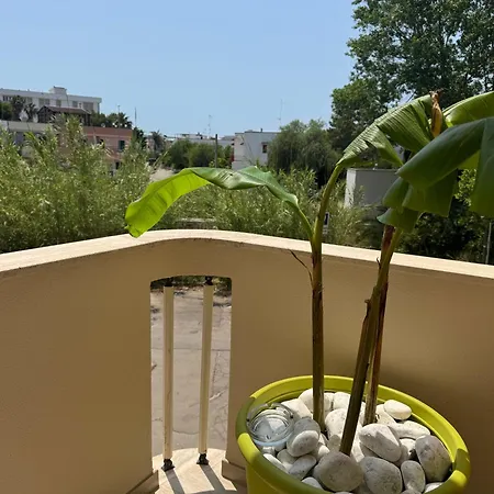 Апартаменты Maracuja Flat - Baia Галлиполи